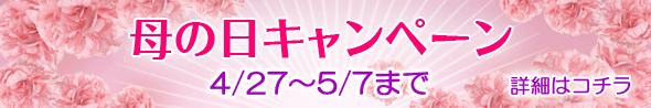 母の日キャンペーン